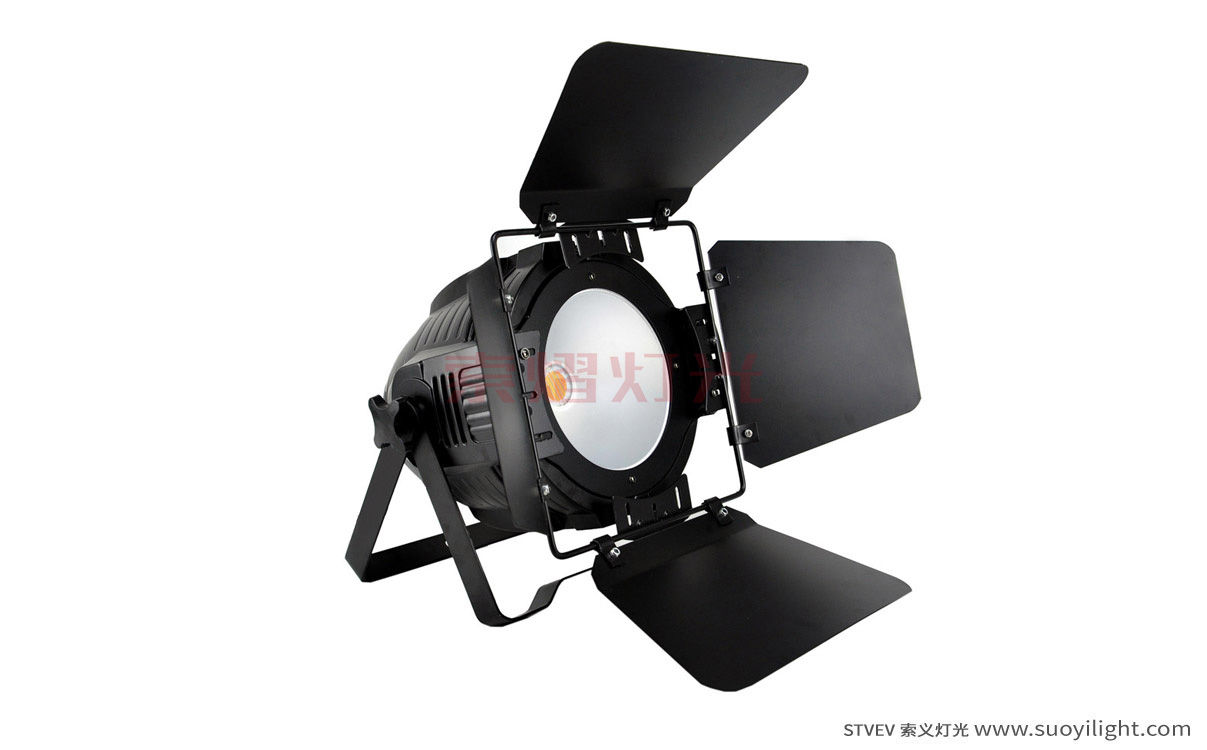 Germany200W COB LED Par Light
