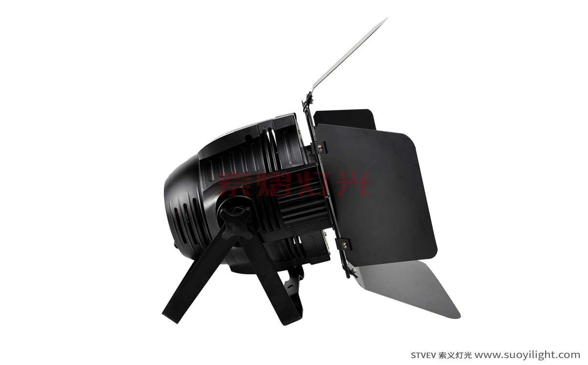 Germany200W COB LED Par Light