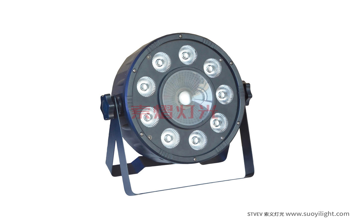 Germany9+1 LED Plastic Par Light