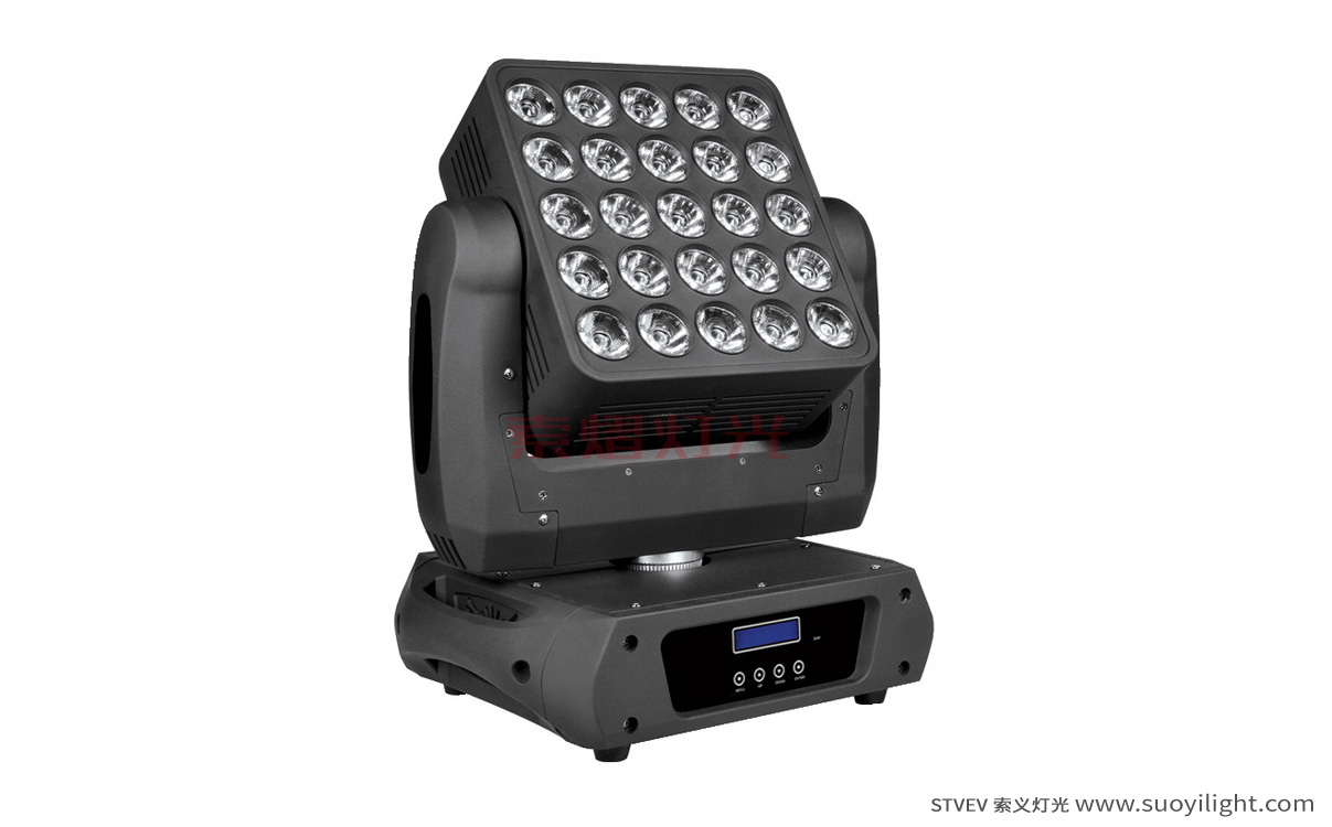 Germany25pcs Matrix LED Light