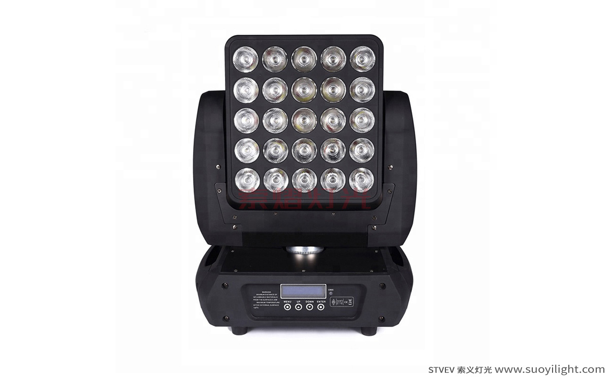 Germany25pcs Matrix LED Light