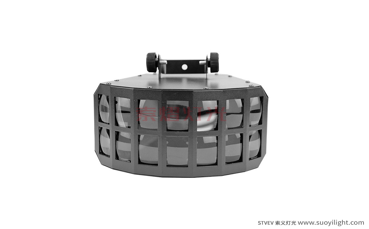 GermanyLED Double Butterfly Light