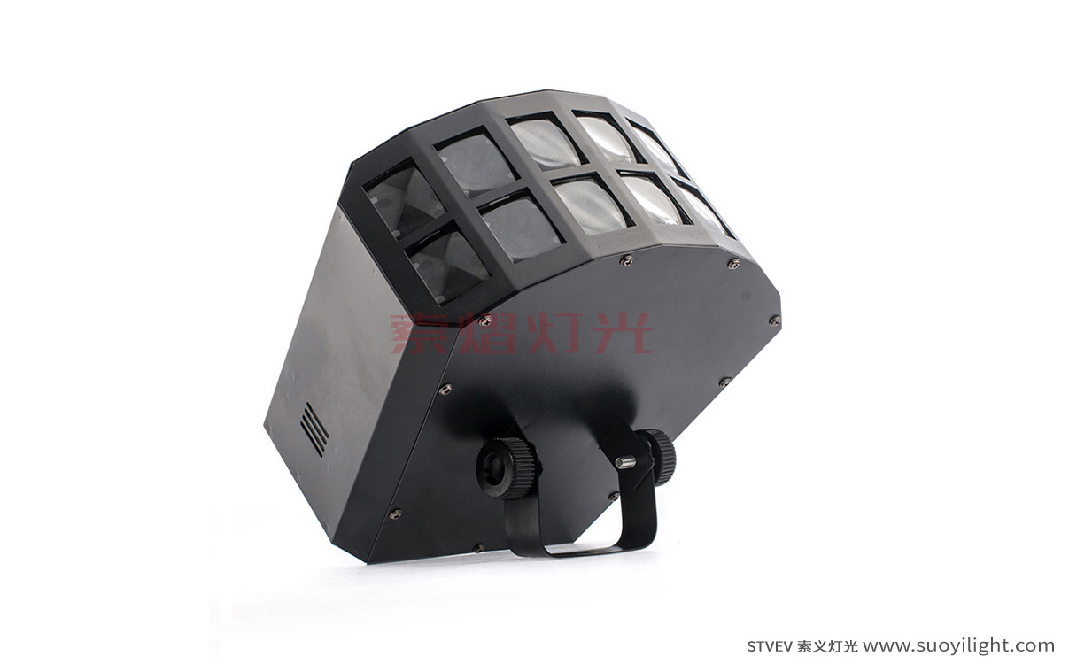 GermanyLED Double Butterfly Light