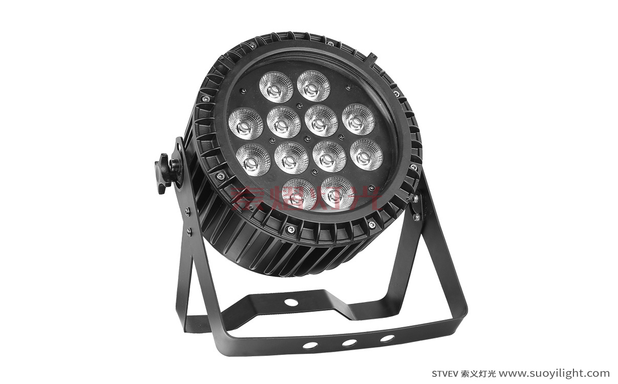 Germany12*12W 6 in 1 Waterproof LED Par Light