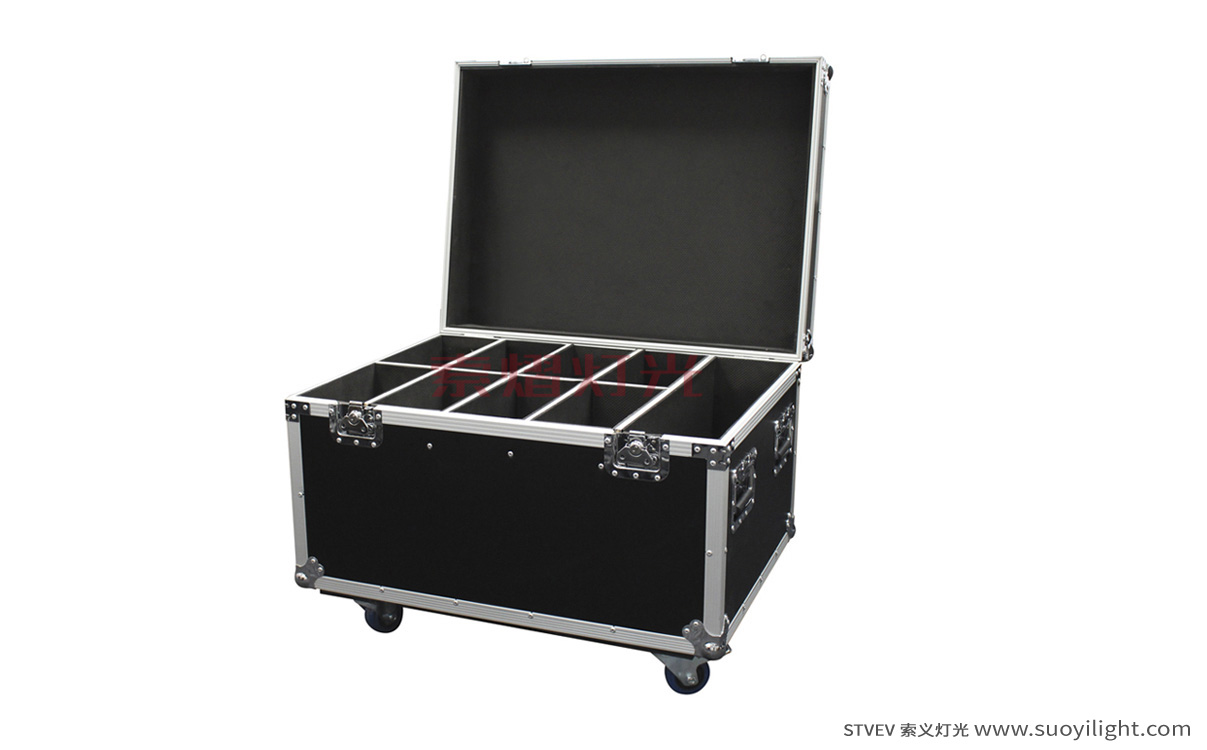 Germany8in1 Par Light Flight Case