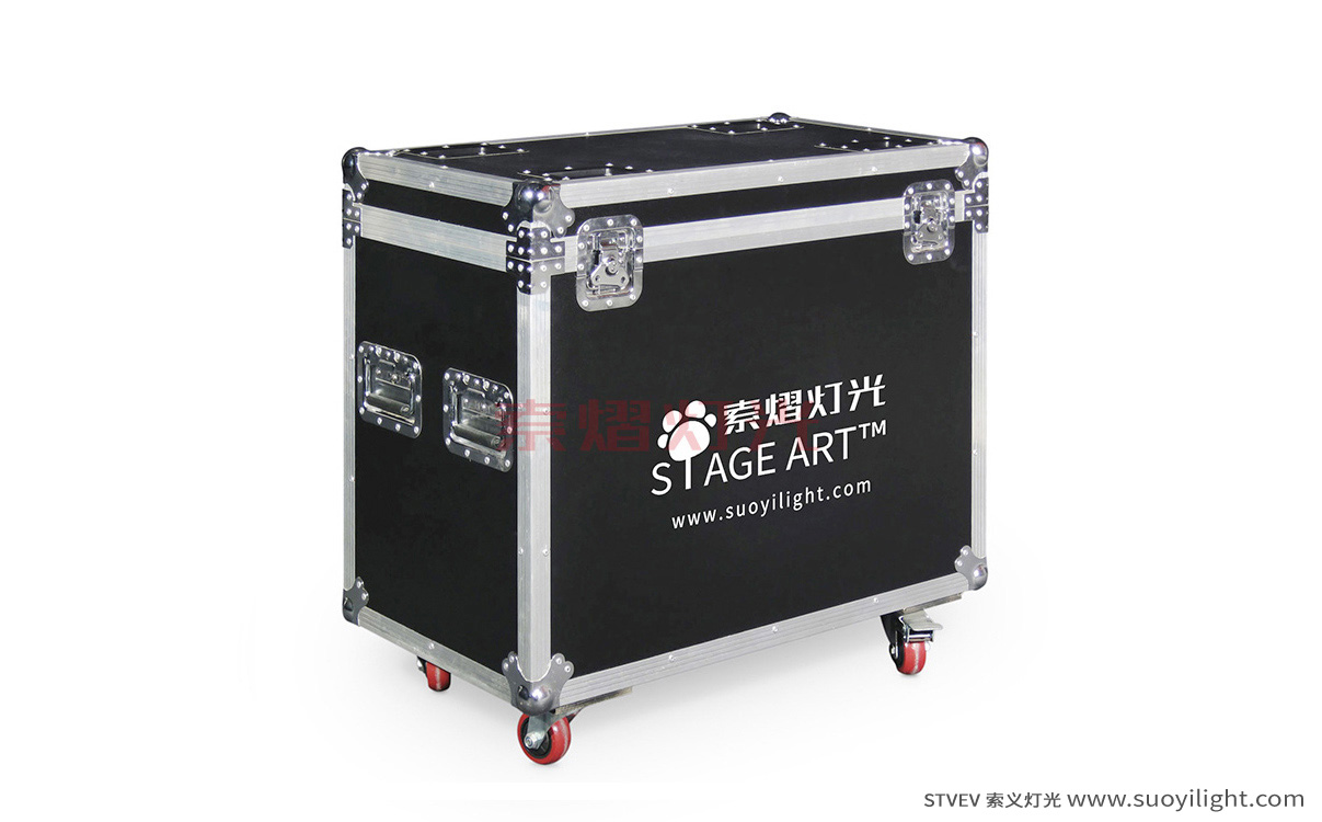 GermanyBeam Light Flight Case