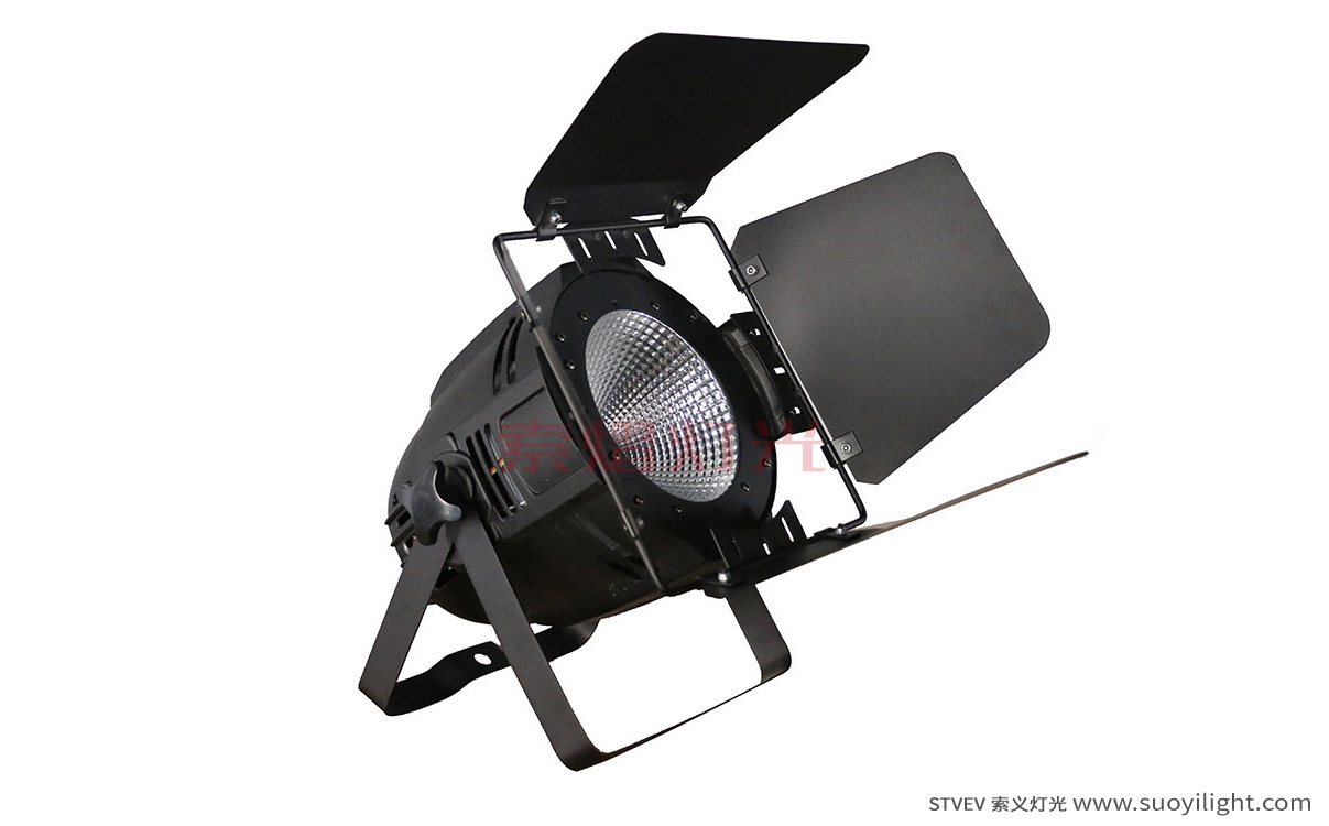 Germany100W LED COB Par Light