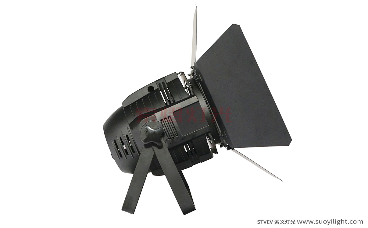 Germany100W LED COB Par Light