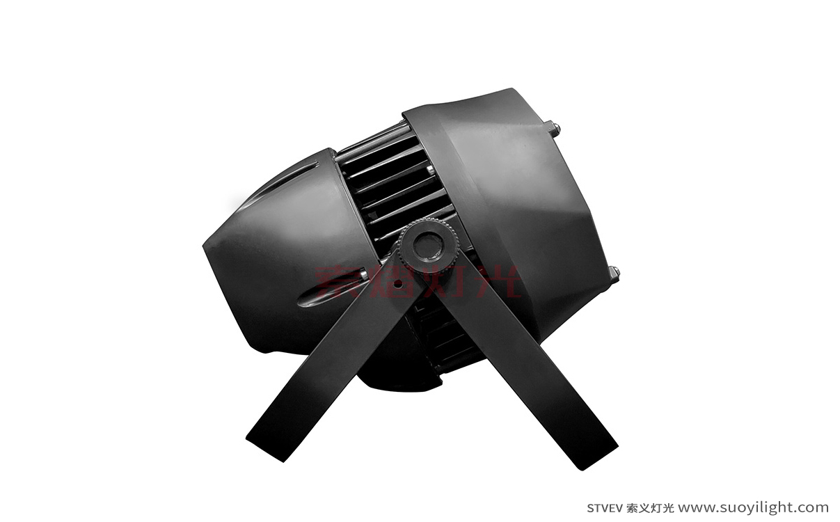 Germany200W Waterproof COB Par Light
