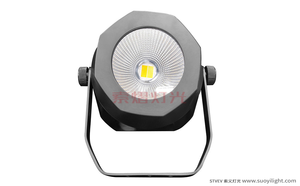Germany200W Waterproof COB Par Light