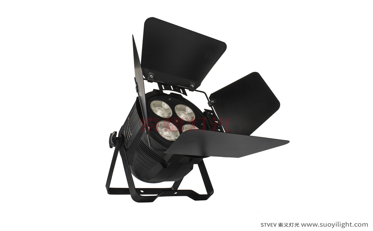 Germany4 Eyes 200W COB Par Light