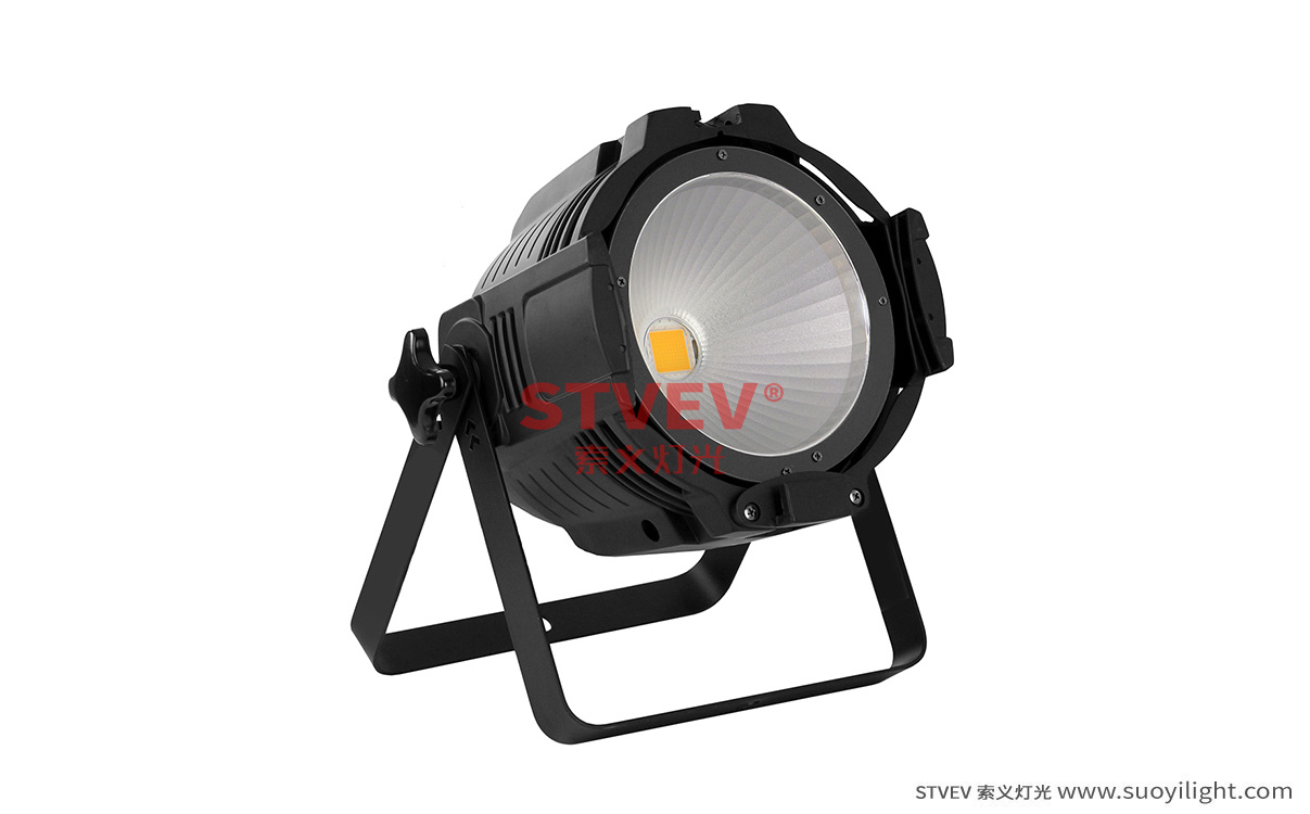 Germany100W 面光灯不带遮光板